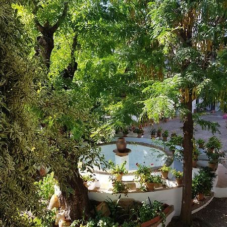Patio Andaluz Siglo XVI Appartement Sevilla Buitenkant foto